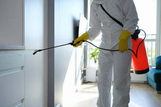 Best Mold Remediation for Healthcare Facilities  in Pine Mountain Lake, CA